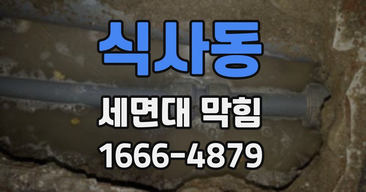 식사동 세면대 막힘