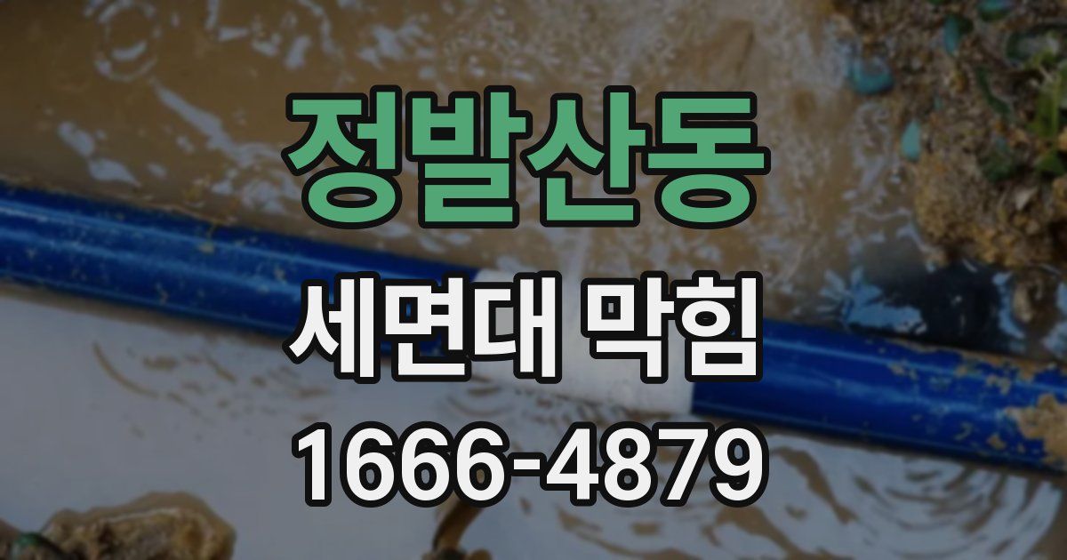 정발산동 세면대 막힘