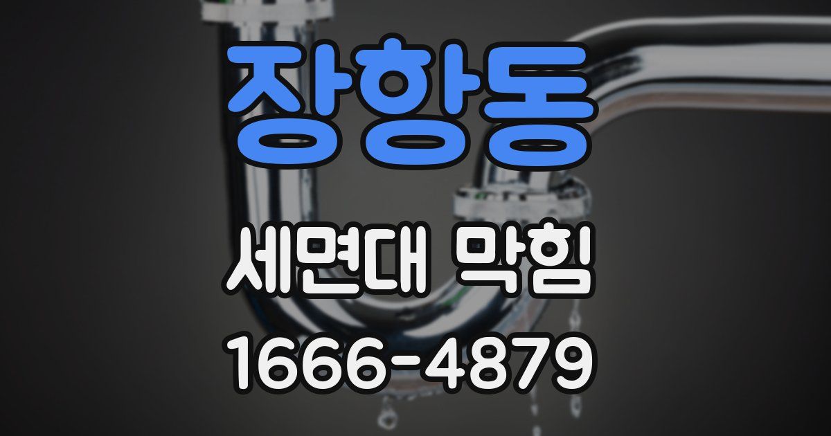 장항동 세면대 막힘