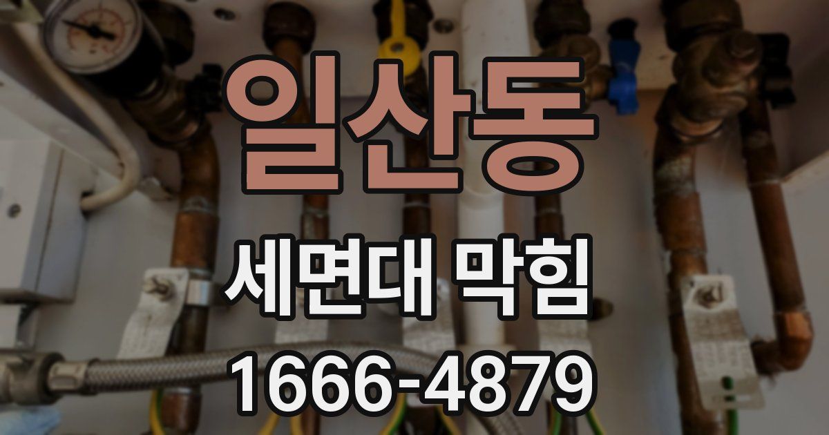 일산동 세면대 막힘
