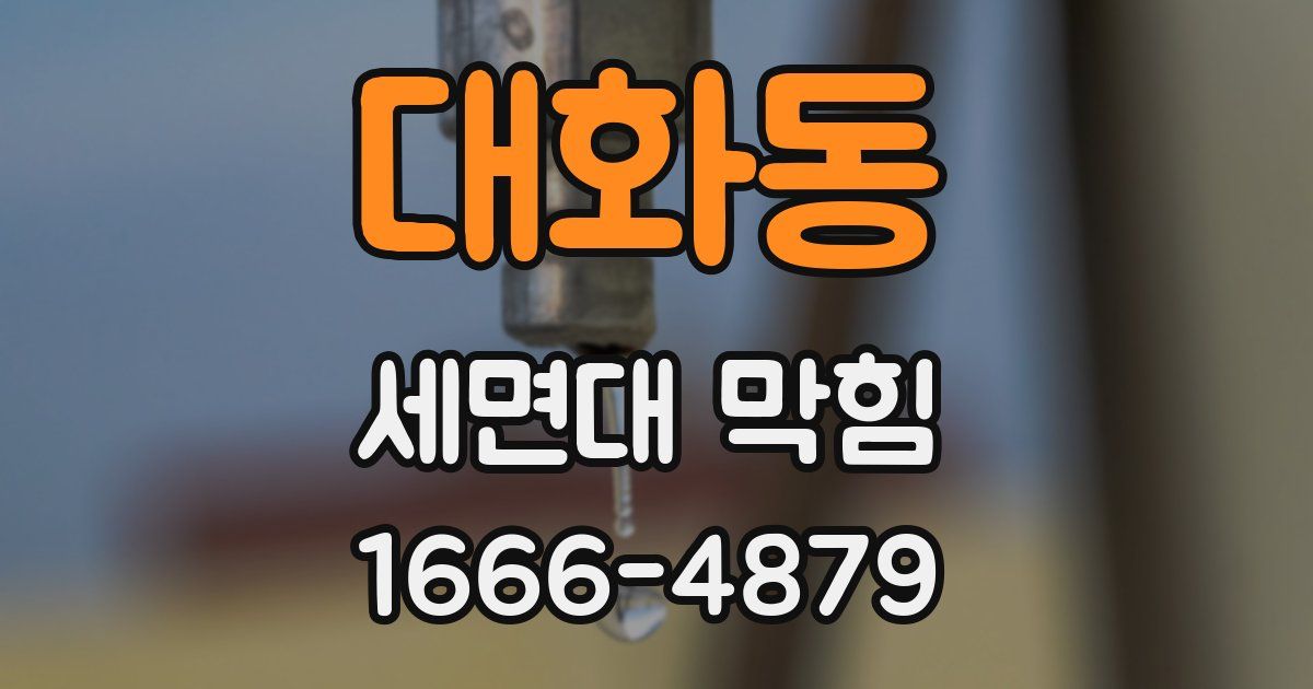 대화동 세면대 막힘