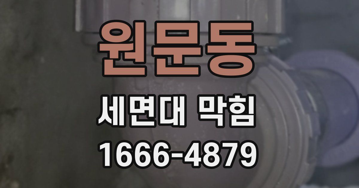 원문동 세면대 막힘