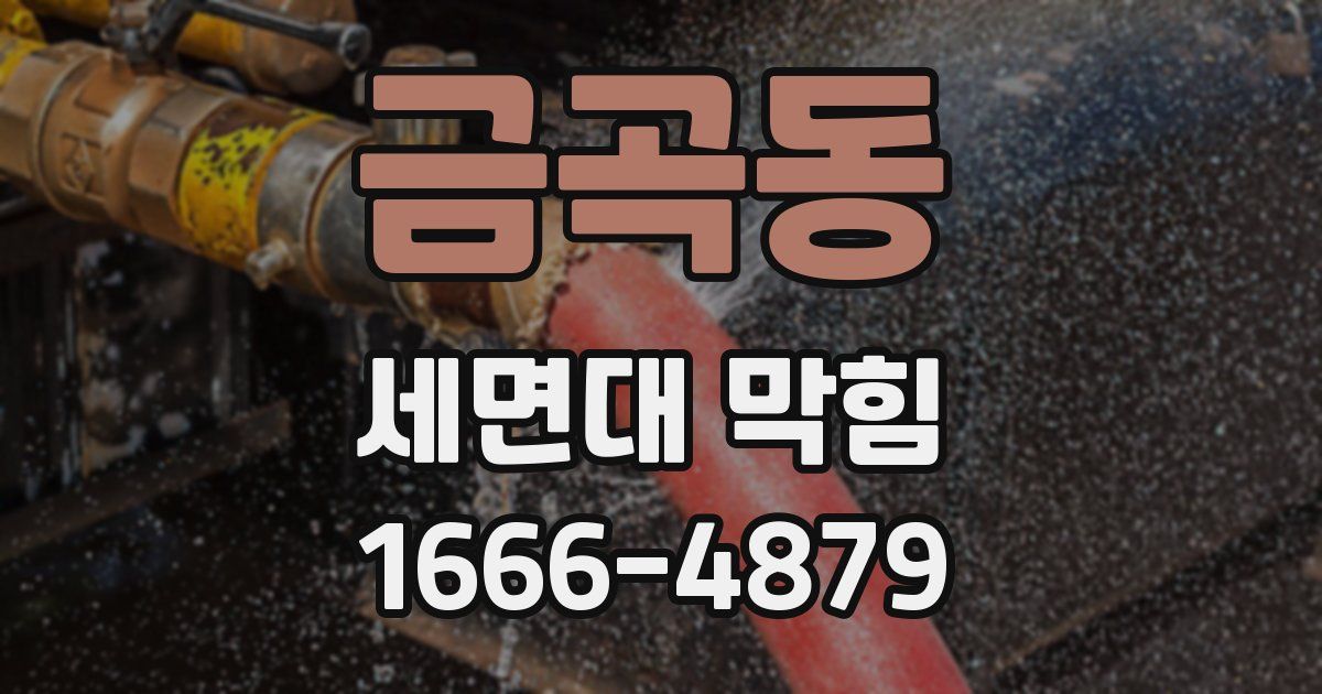 금곡동 세면대 막힘