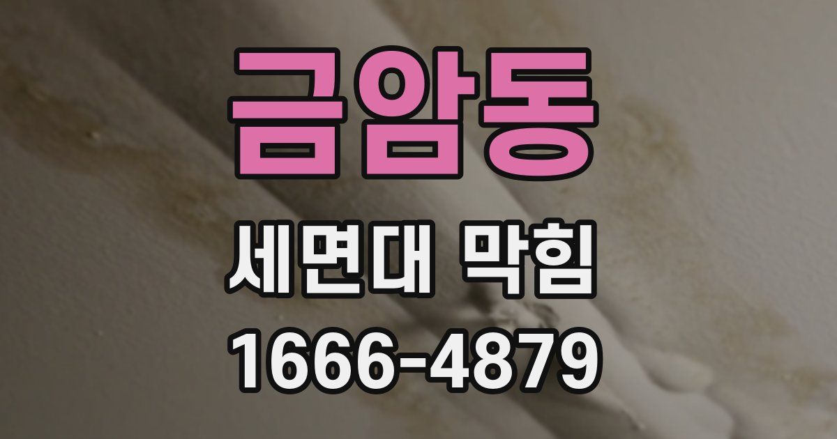 금암동 세면대 막힘