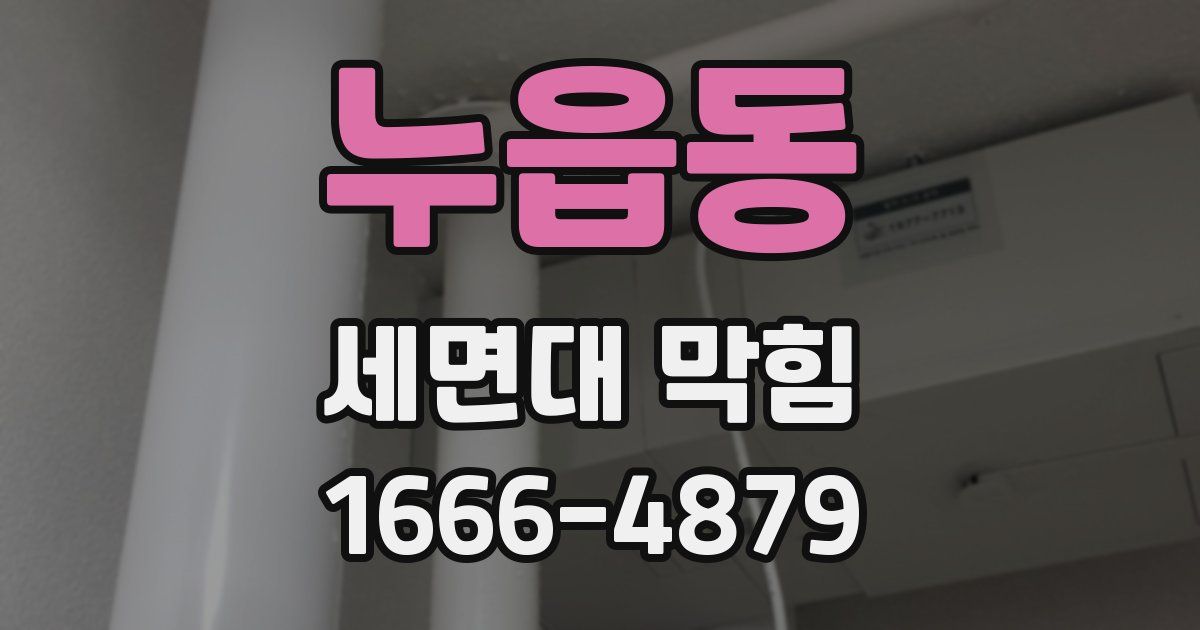 누읍동 세면대 막힘