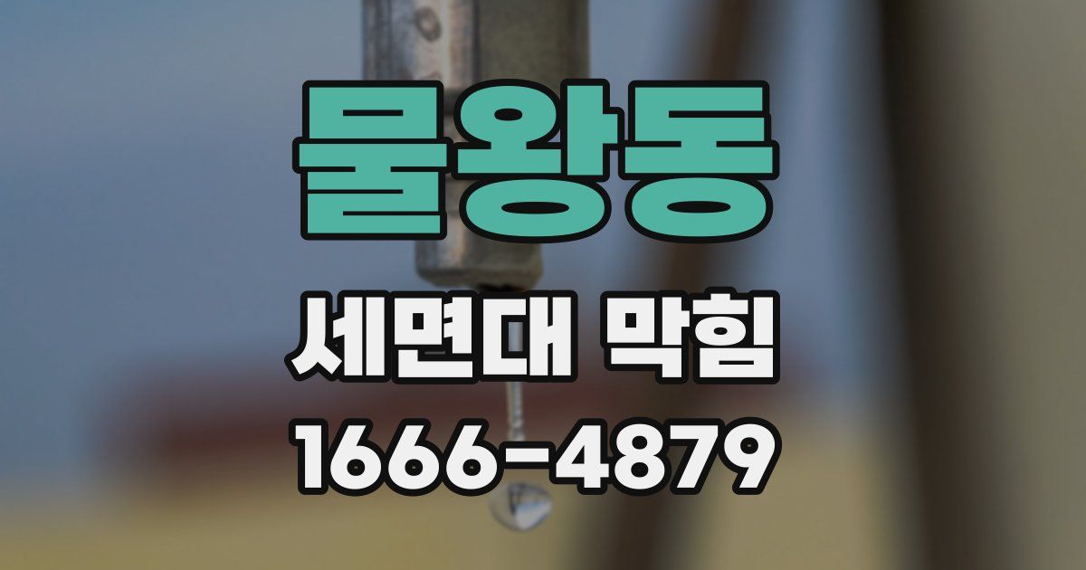물왕동 세면대 막힘