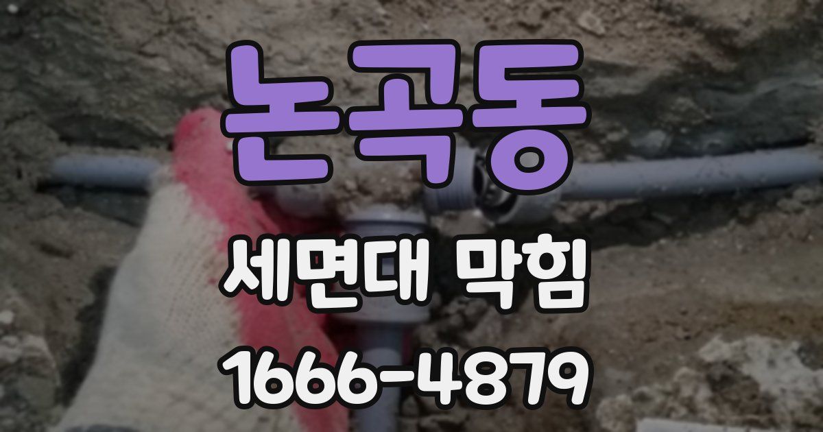 논곡동 세면대 막힘
