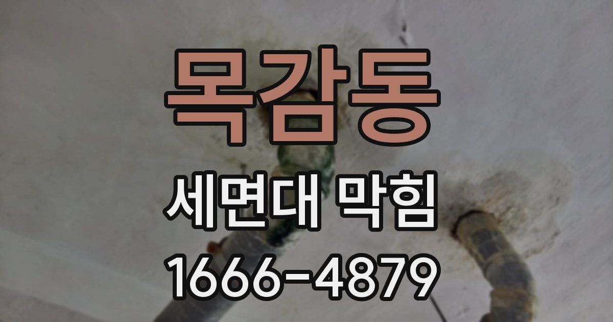 목감동 세면대 막힘