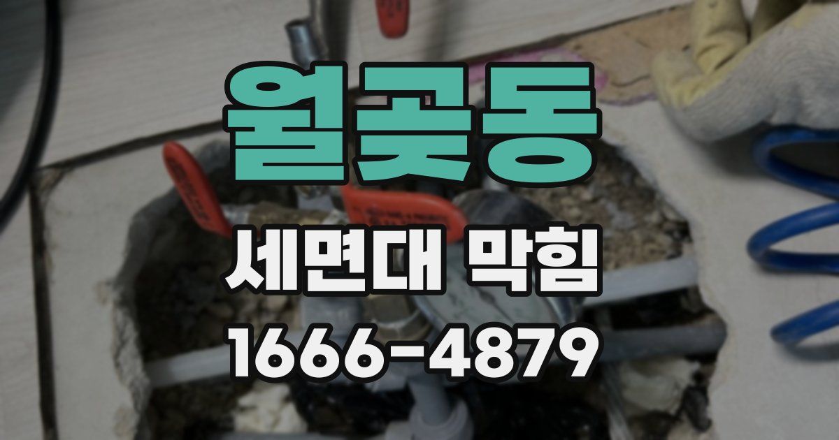 월곶동 세면대 막힘