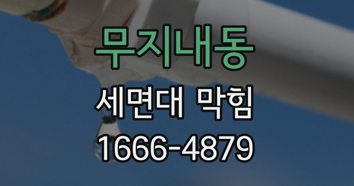 무지내동 세면대 막힘