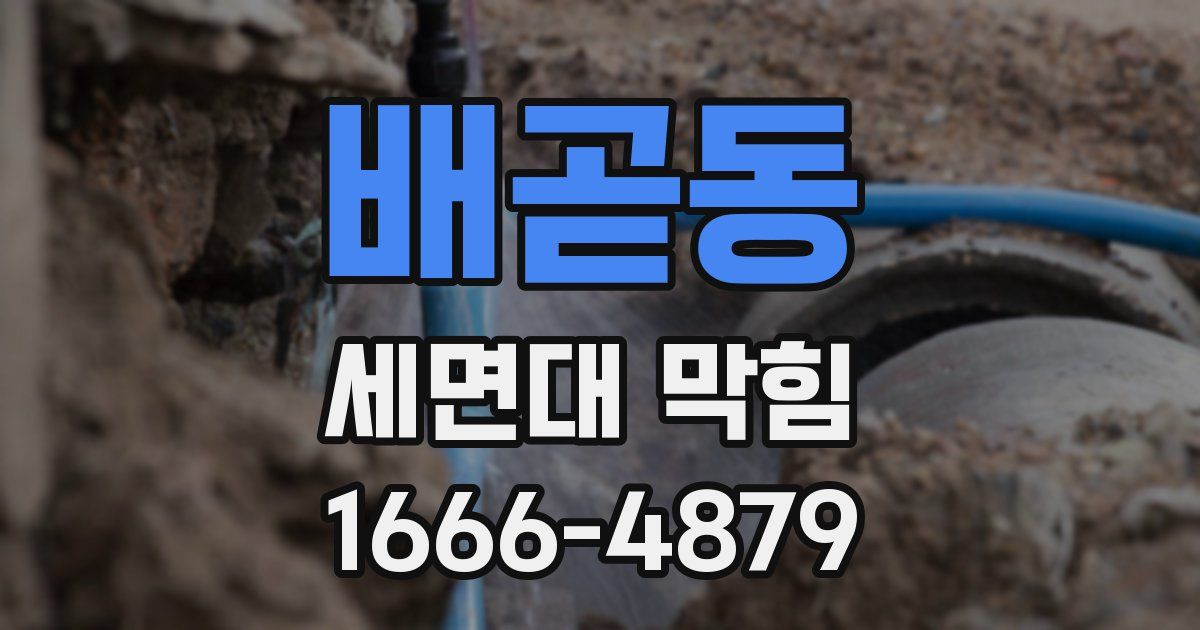 배곧동 세면대 막힘