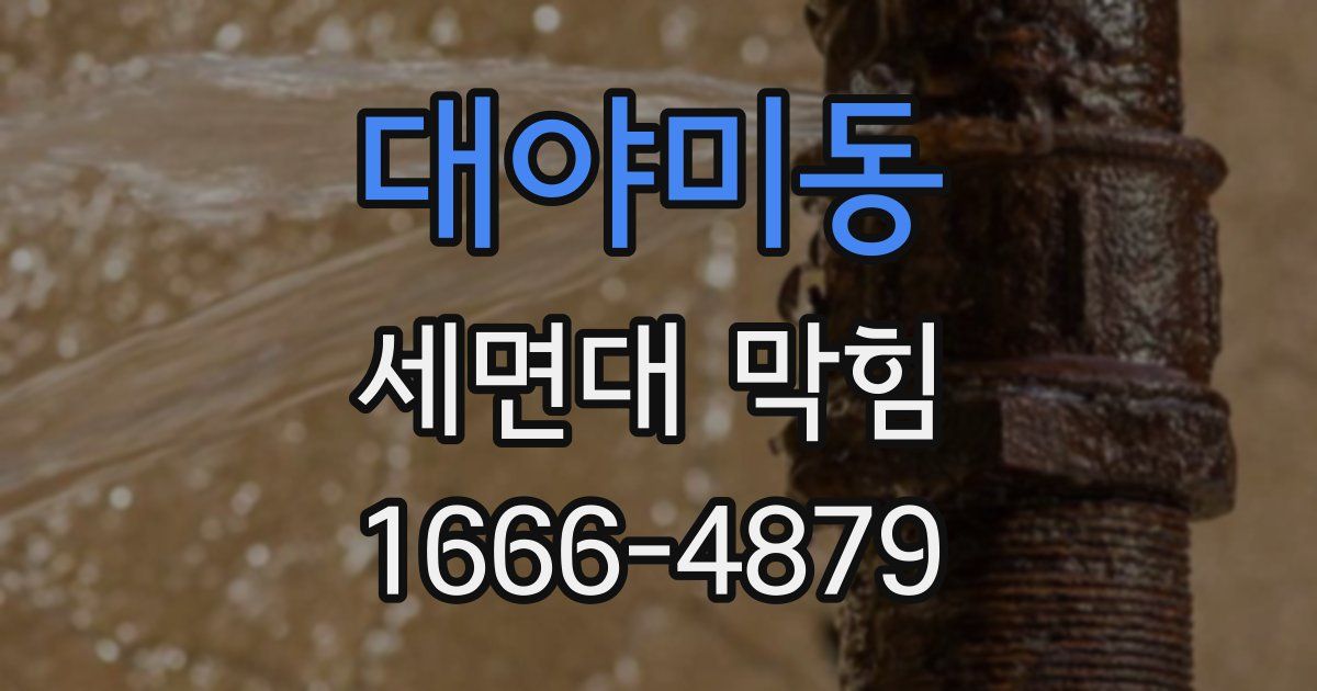 대야미동 세면대 막힘