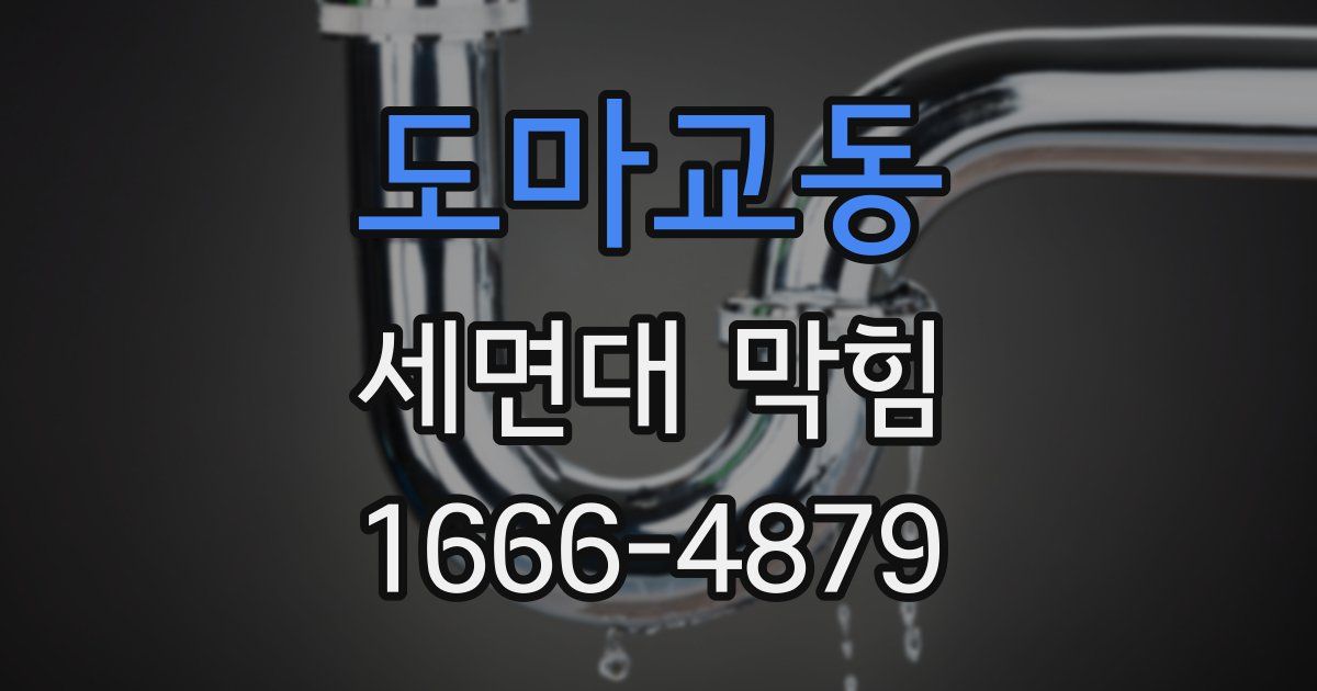 도마교동 세면대 막힘
