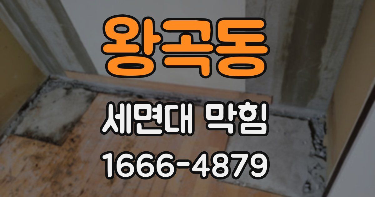 왕곡동 세면대 막힘