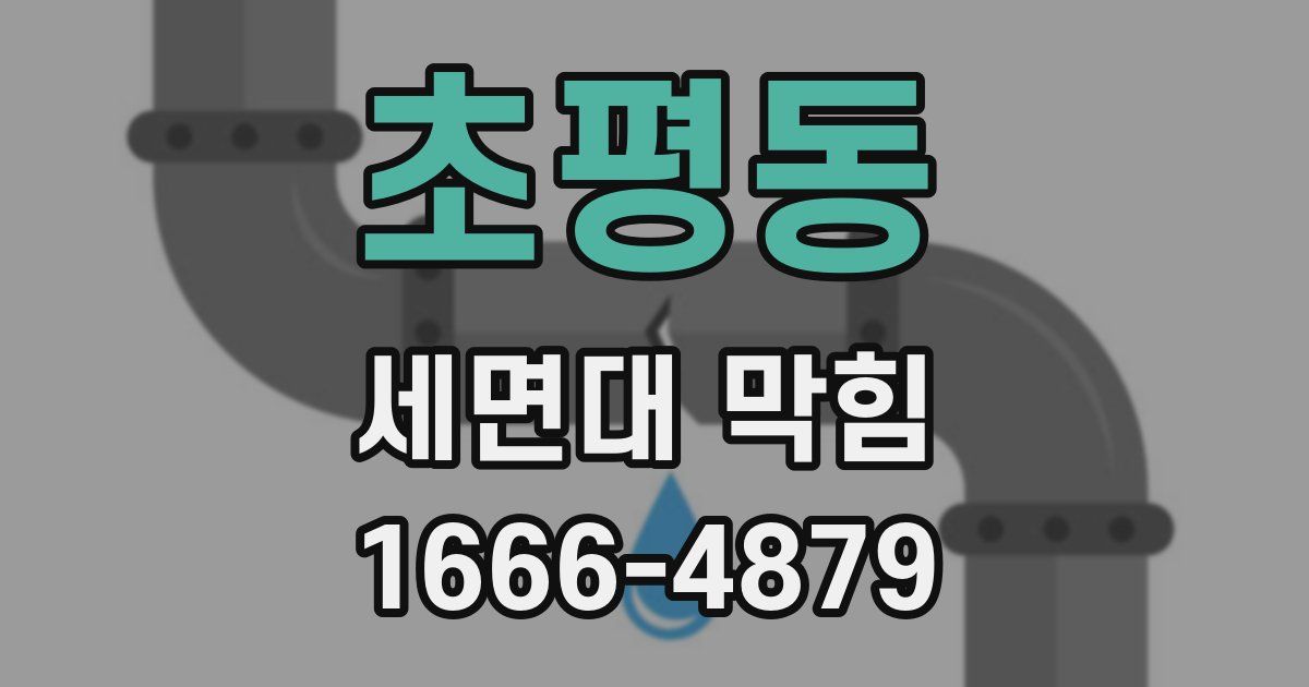 초평동 세면대 막힘
