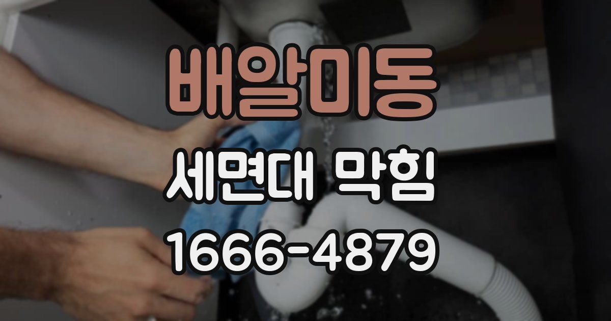 배알미동 세면대 막힘