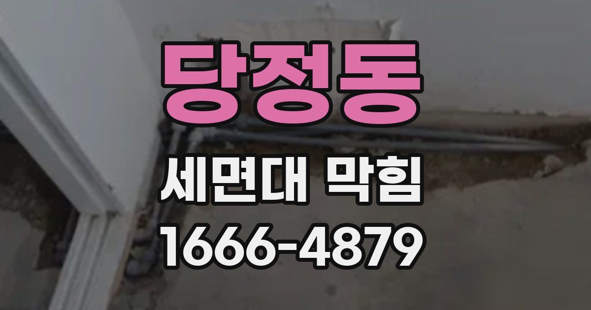 당정동 세면대 막힘