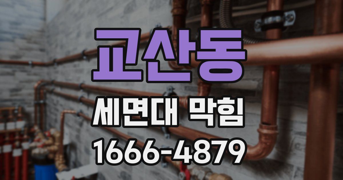 교산동 세면대 막힘