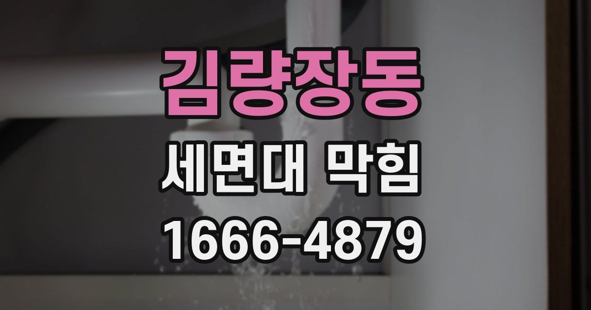 김량장동 세면대 막힘
