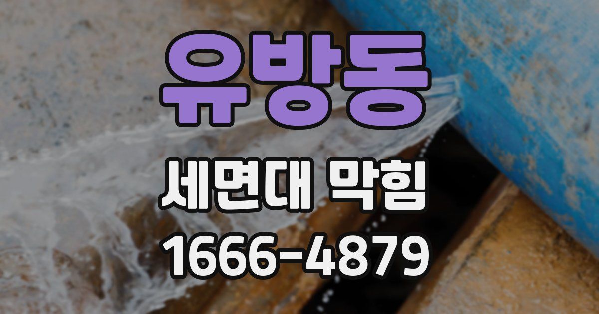 유방동 세면대 막힘