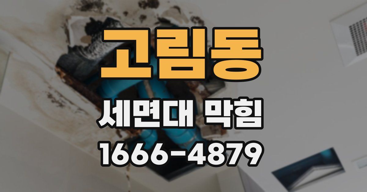 고림동 세면대 막힘