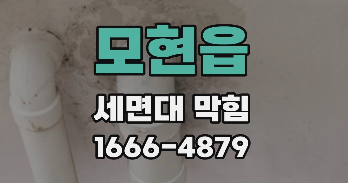 모현읍 세면대 막힘
