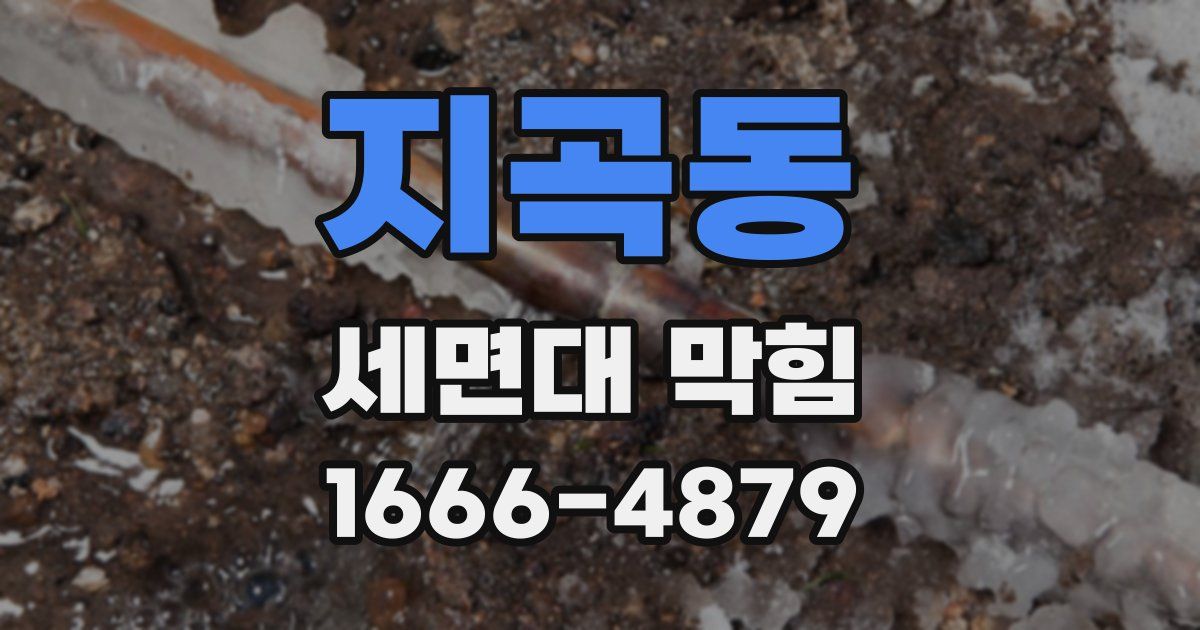 지곡동 세면대 막힘