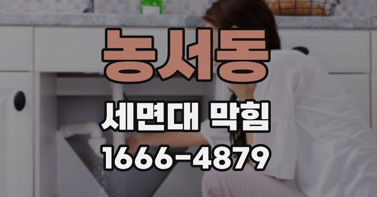 농서동 세면대 막힘