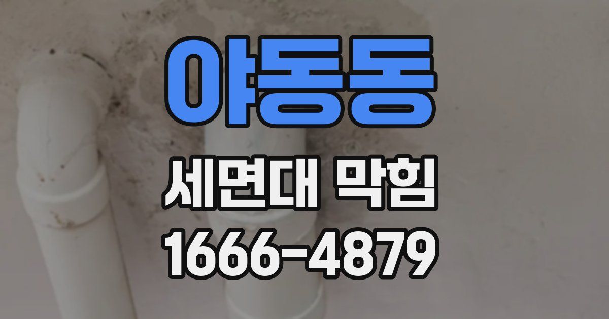 야동동 세면대 막힘