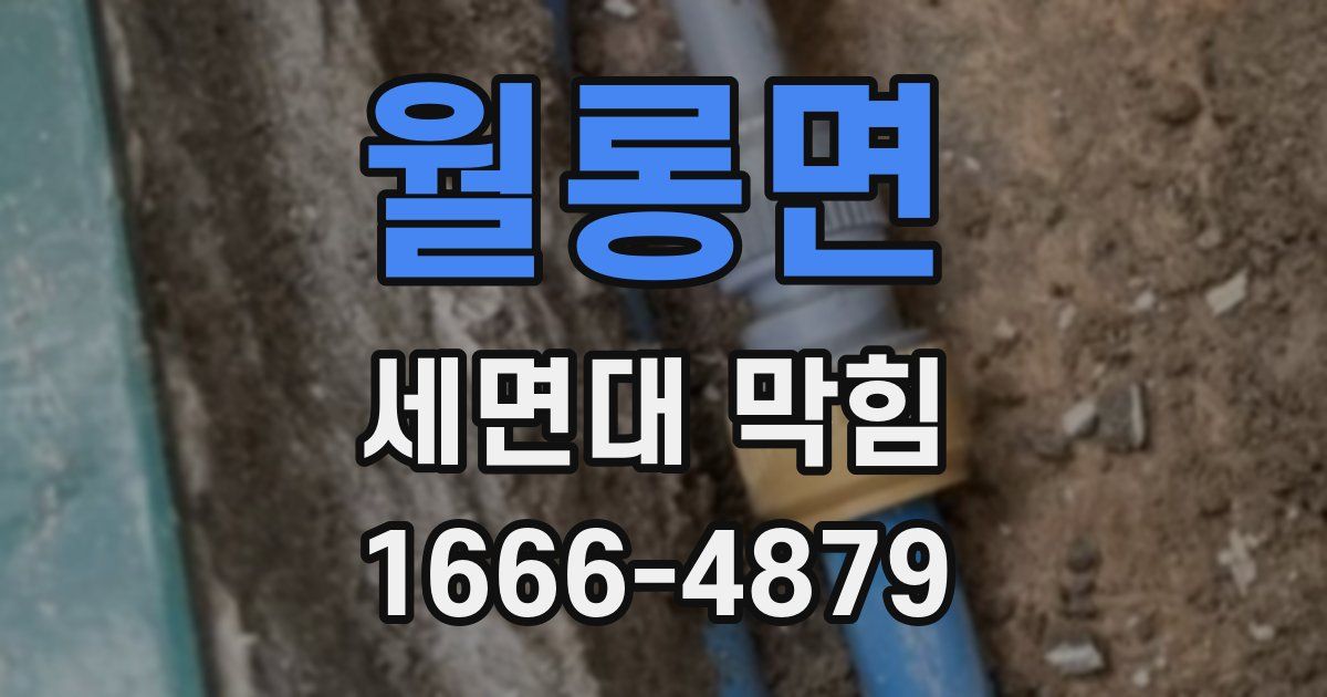 월롱면 세면대 막힘