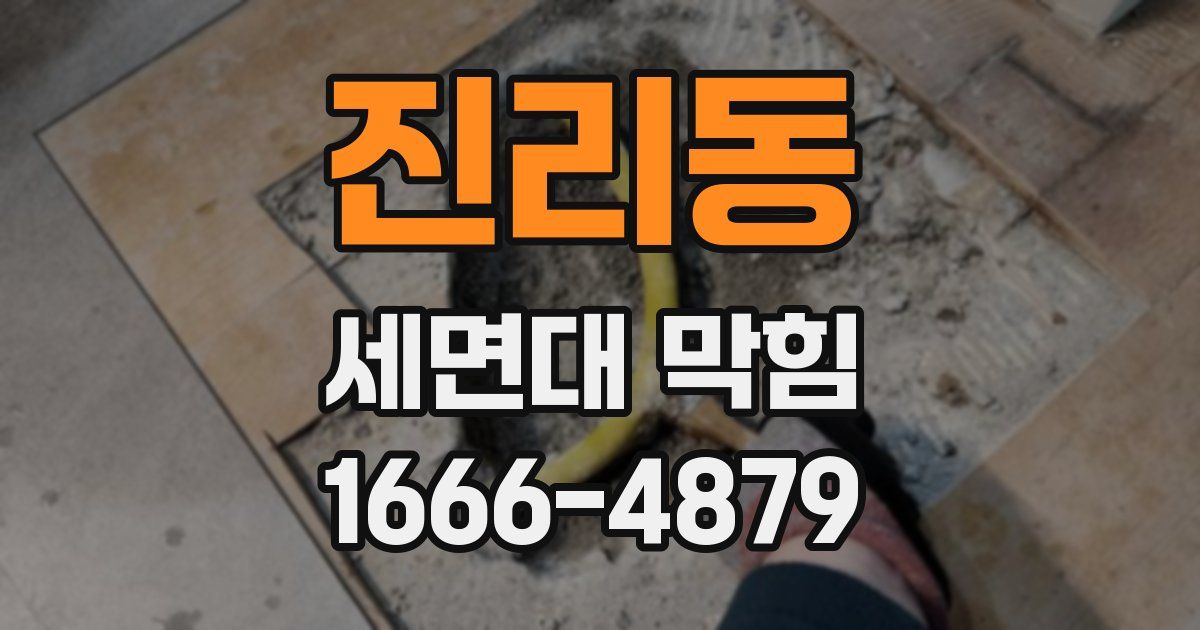 진리동 세면대 막힘