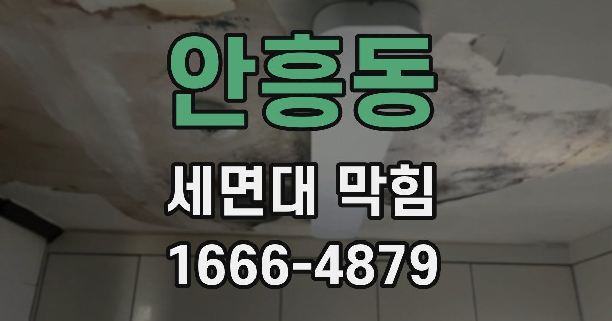 안흥동 세면대 막힘