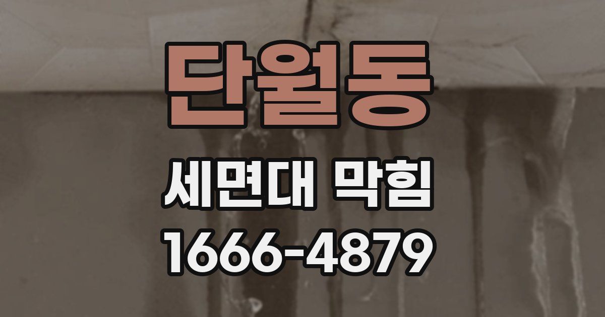 단월동 세면대 막힘
