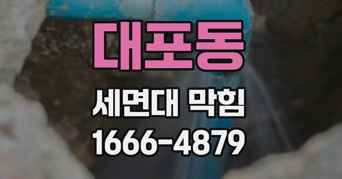 대포동 세면대 막힘