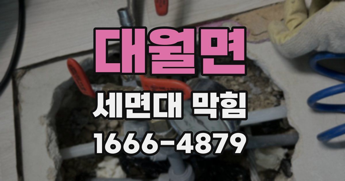 대월면 세면대 막힘