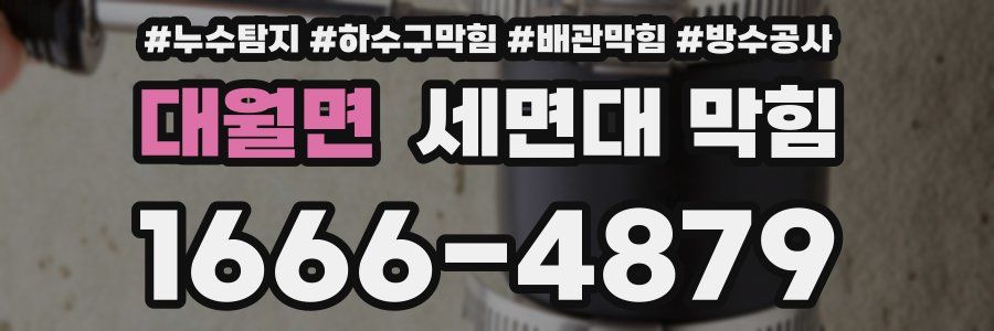대월면 세면대 막힘