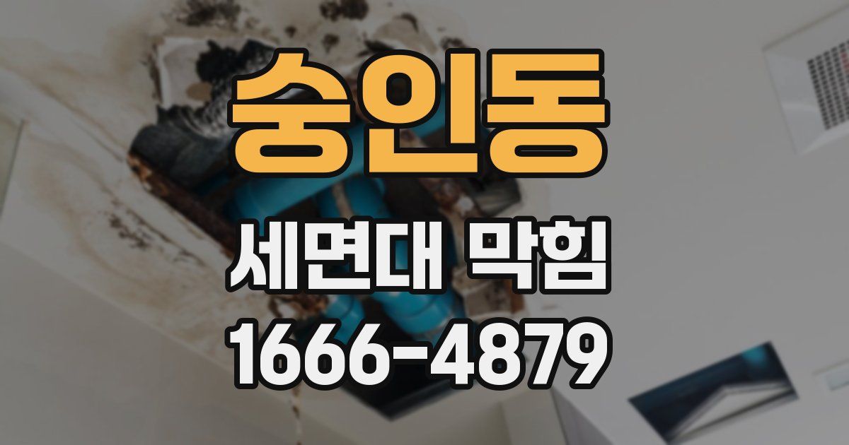숭인동 세면대 막힘
