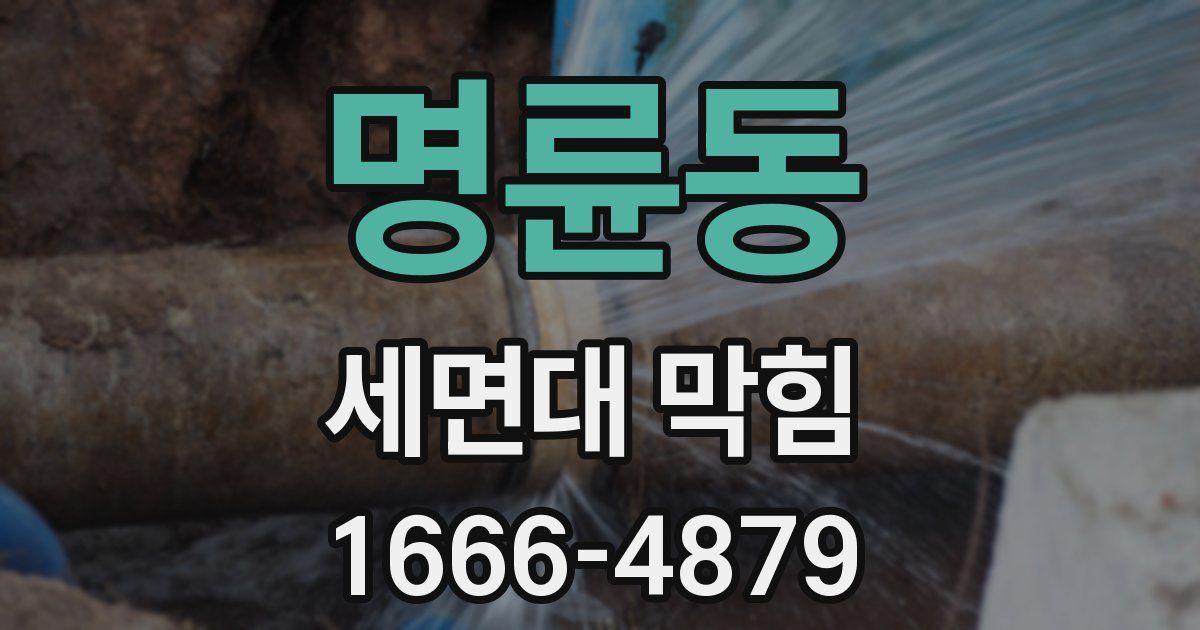 명륜동 세면대 막힘