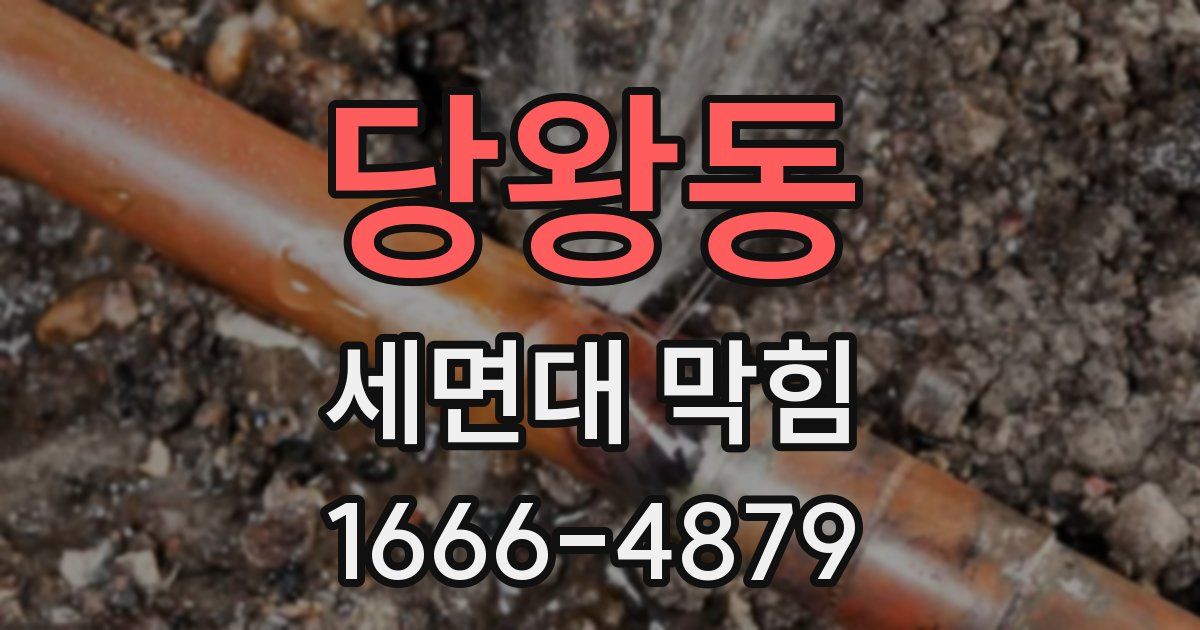 당왕동 세면대 막힘