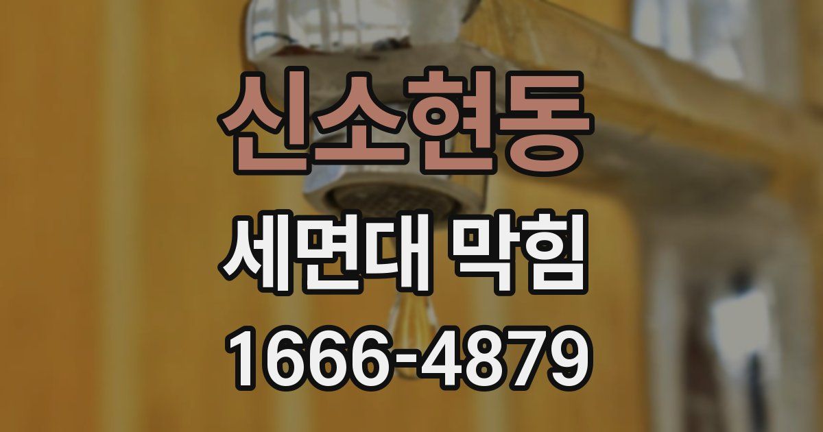 신소현동 세면대 막힘