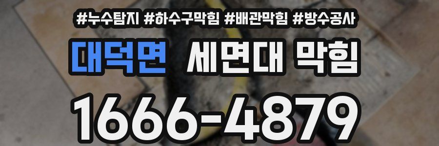 대덕면 세면대 막힘