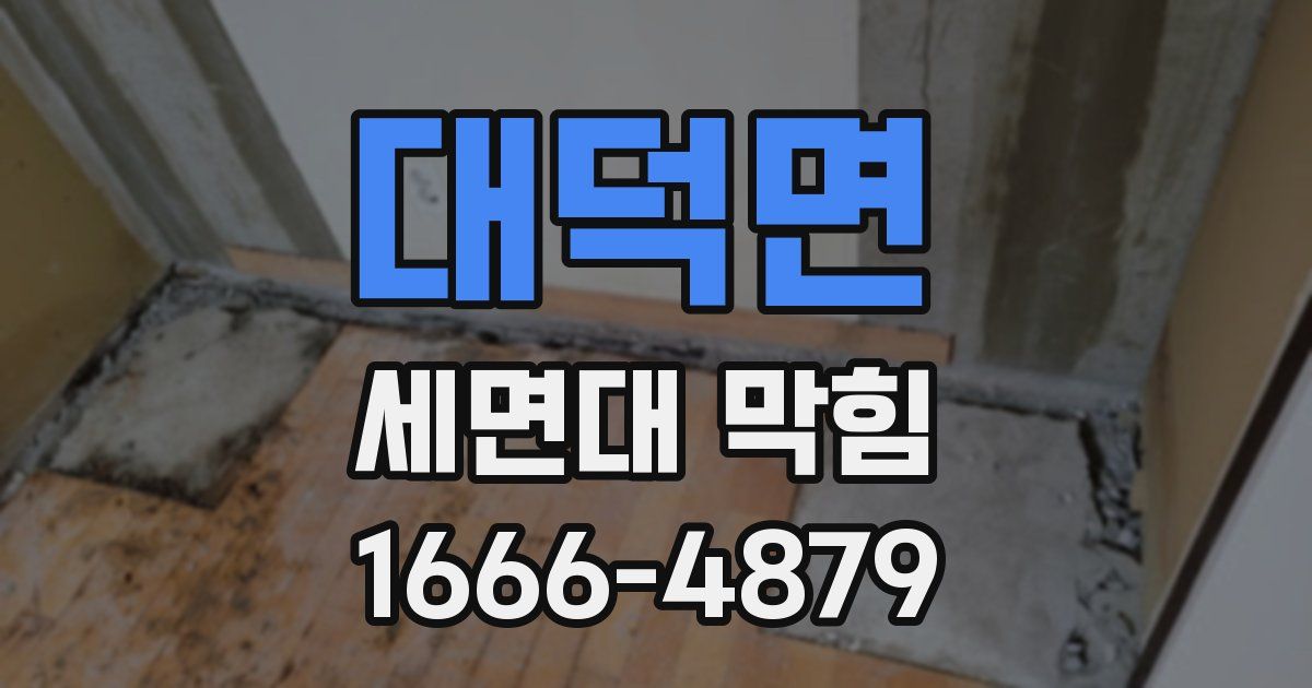 대덕면 세면대 막힘