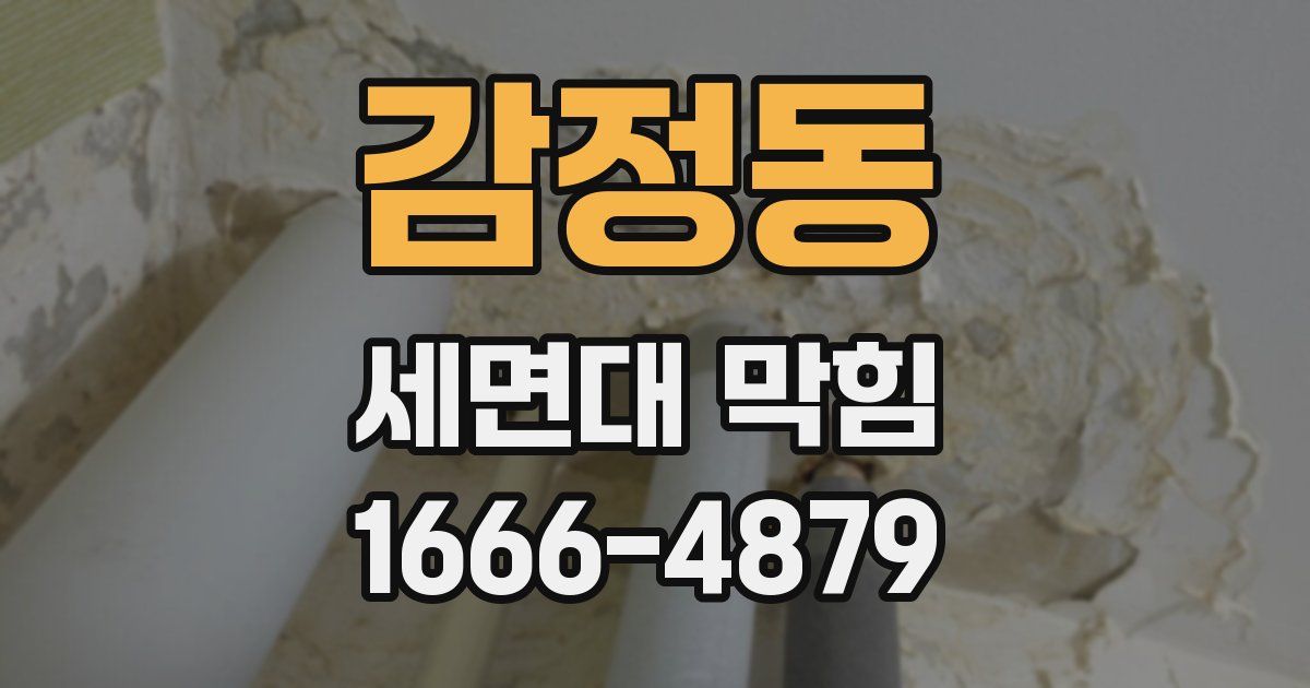 감정동 세면대 막힘
