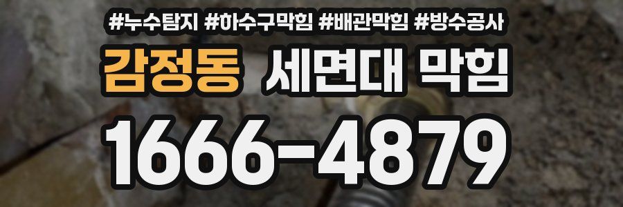 감정동 세면대 막힘