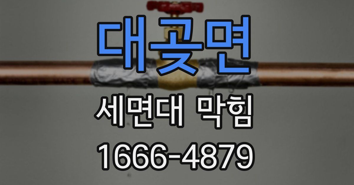 대곶면 세면대 막힘