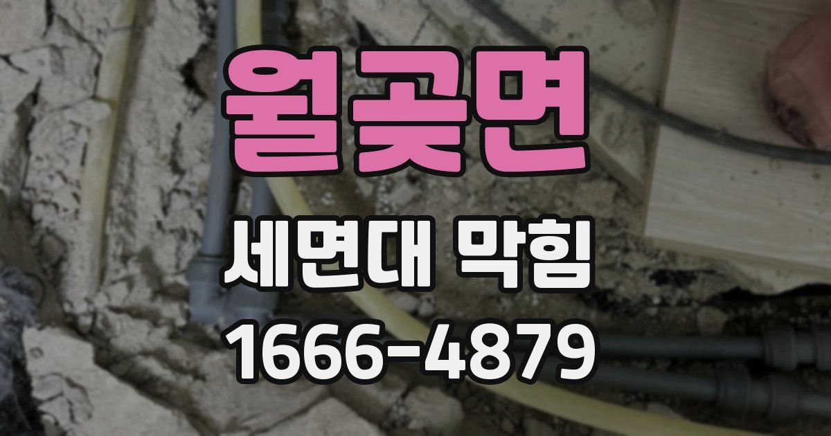월곶면 세면대 막힘