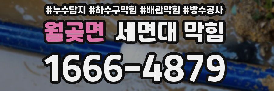 월곶면 세면대 막힘