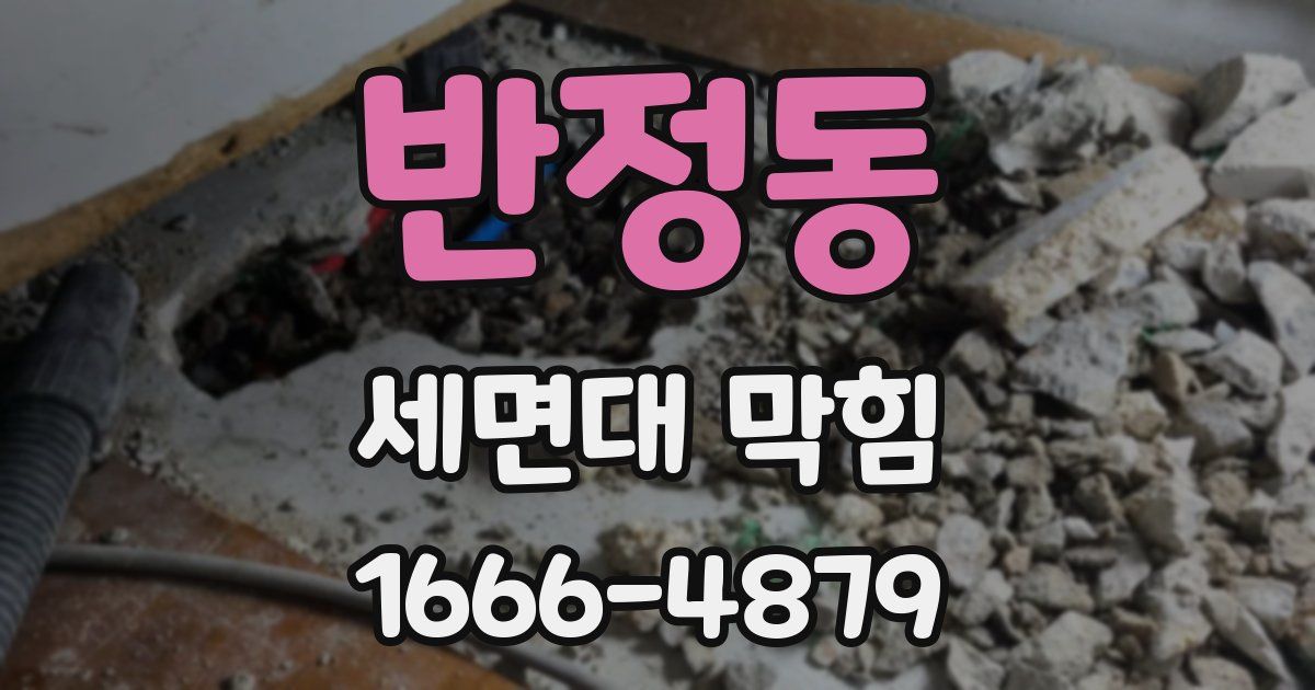 반정동 세면대 막힘