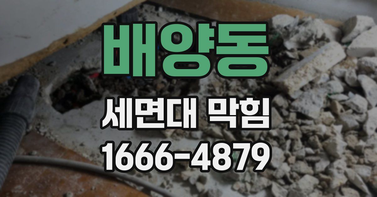 배양동 세면대 막힘