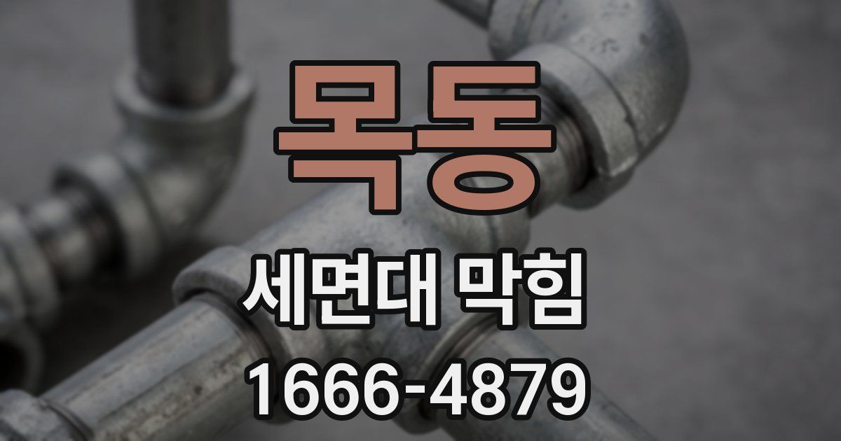 목동 세면대 막힘